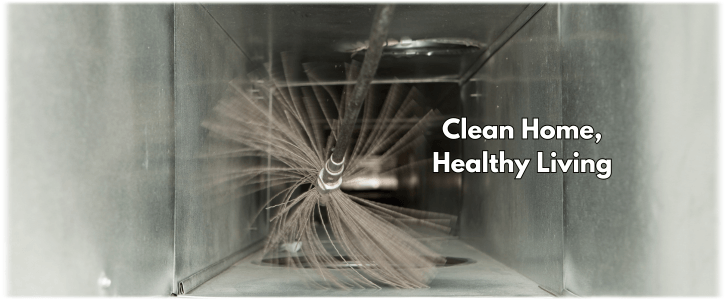 Air Duct Mold Removal in Plano