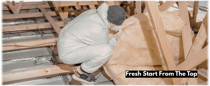 Attic Cleaning Plano